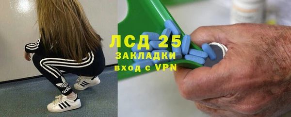 стафф Богородицк