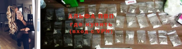 прущий лед Богданович