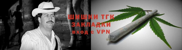 прущий лед Богданович