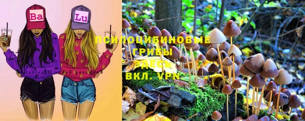 прущий лед Богданович