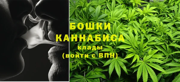 прущий лед Богданович