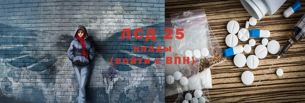 прущий лед Богданович