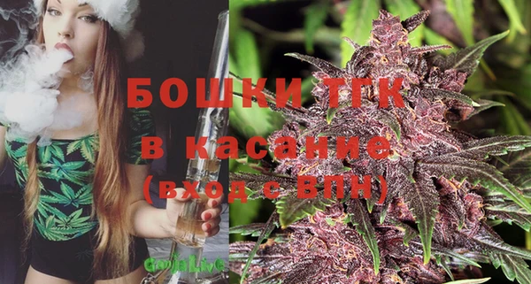 стафф Богородицк