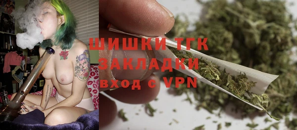 стафф Богородицк