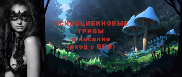 стафф Богородицк