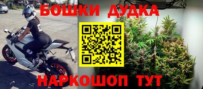 прущая мука Беслан