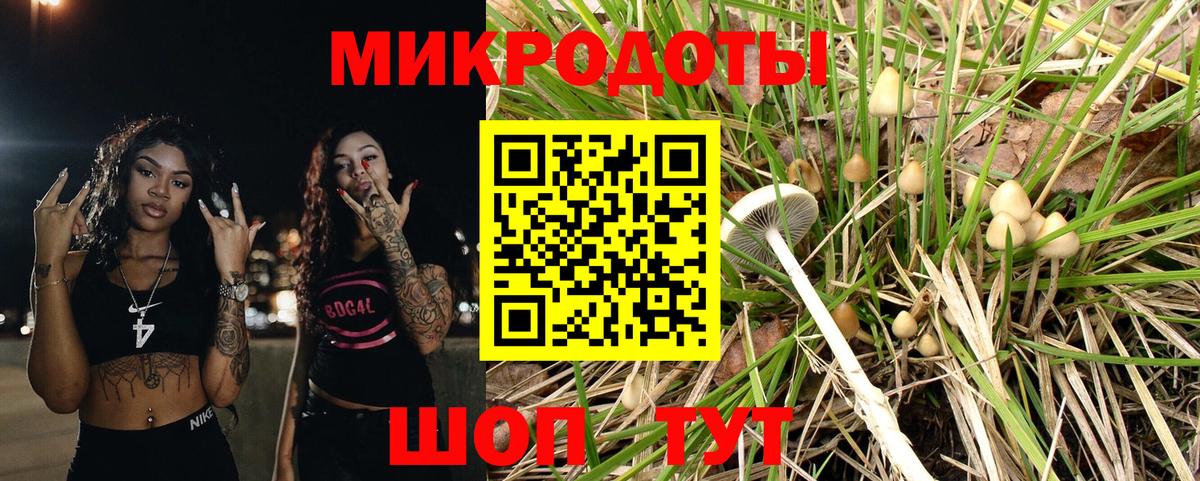 Псилоцибиновые грибы Magic Shrooms  Псилоцибиновые грибы Psilocybe  Вятские Поляны  Вход с VPN 