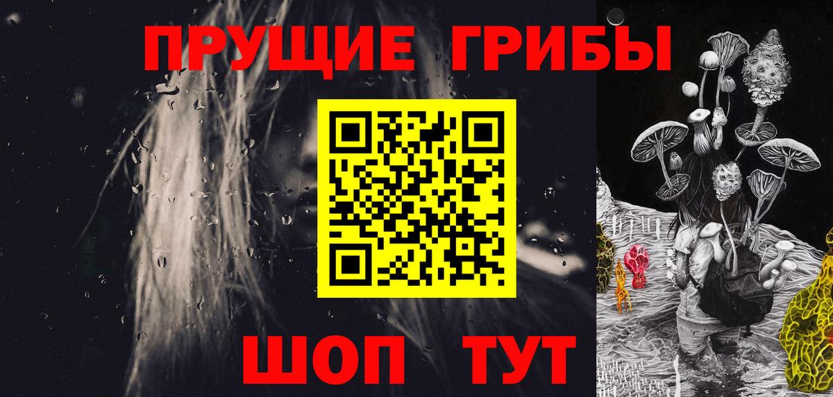 Псилоцибиновые грибы Psilocybine cubensis Вятские Поляны