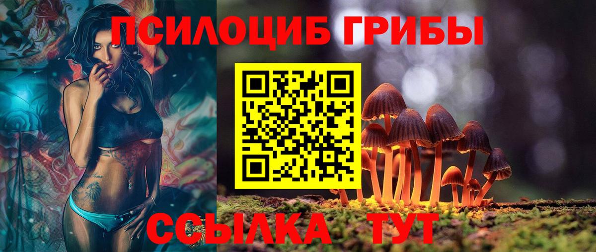 Псилоцибиновые грибы Cubensis Вятские Поляны